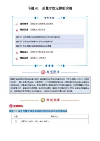 2025年中考化学专题复习练习专题01 质量守恒定律的应用(原卷版)