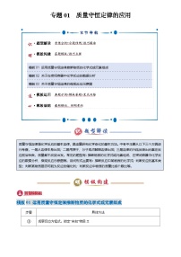 2025年中考化学专题复习练习专题01 质量守恒定律的应用(解析版)