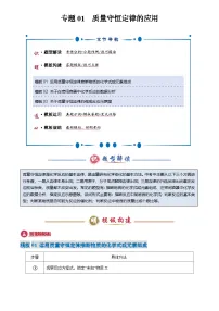 2025年中考化学专题复习练习专题01 质量守恒定律的应用(解析版)