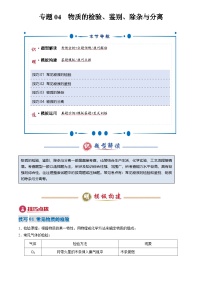 2025年中考化学专题复习练习专题04 物质的检验、鉴别、除杂与分离(解析版)