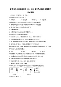 甘肃省天水市张家川县2024-2025学年九年级下学期期中考试化学试卷（解析版）