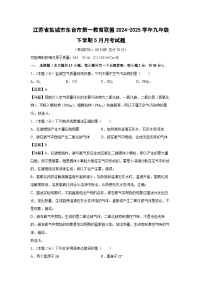 江苏省盐城市东台市第一教育联盟2024-2025学年九年级下学期5月月考化学试卷（解析版）