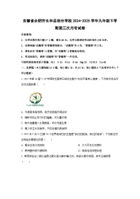 安徽省合肥市长丰县部分学校2024-2025学年九年级下学期第三次月考化学试卷