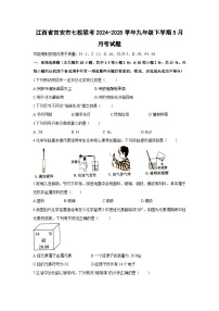 江西省吉安市七校联考2024-2025学年九年级下学期5月月考化学试卷