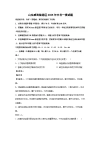 山东威海临港区2025年中考一模化学试卷（解析版）