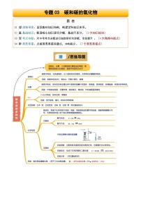 2025年中考化学专项复习讲义专题03 碳和碳的氧化物(原卷版)