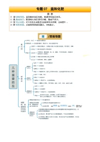 2025年中考化学专项复习讲义专题07 盐和化肥(原卷版)