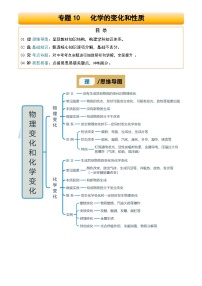 2025年中考化学专项复习讲义专题10 化学的变化和性质(原卷版)