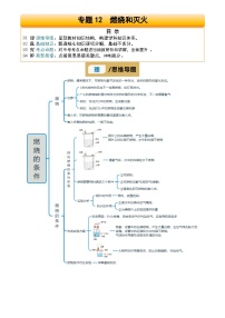 2025年中考化学专项复习讲义专题12 燃烧和灭火(原卷版)