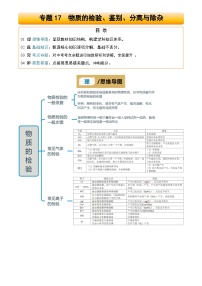 2025年中考化学专项复习讲义专题17 物质的检验、鉴别、分离与除杂(解析版)