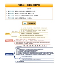 2025年中考化学专项复习讲义专题05 金属和金属矿物(解析版)