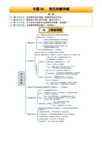 2025年中考化学专项复习讲义专题06 常见的酸和碱(解析版)