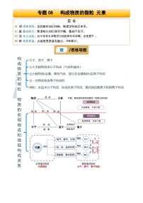2025年中考化学专项复习讲义专题08 构成物质的微粒 元素(解析版)