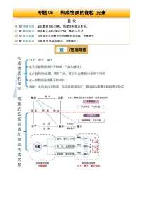 2025年中考化学专项复习讲义专题08 构成物质的微粒 元素(解析版)