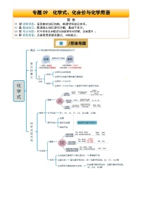 2025年中考化学专项复习讲义专题09 化学式、化合价与化学用语(解析版)