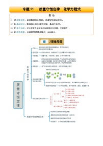 2025年中考化学专项复习讲义专题11 质量守恒定律 化学方程式(解析版)