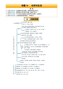 2025年中考化学专项复习讲义专题14 化学与生活(解析版)