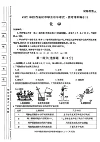 2025年陕西省咸阳市乾县吴店九年制学校中考七模化学试题（中考模拟）