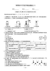 2025年广东省深圳市中考模拟化学试卷 9