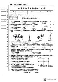 2025年吉林省松原市前郭县九年级第六次模拟考试化学试题（中考模拟）