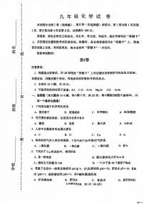 2025年天津市河西区九年级二模化学试题（中考模拟）