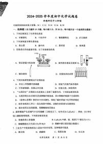 2025年重庆市鲁能巴蜀中学中考三模考前测试化学试题（中考模拟）