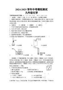 2025年江苏省连云港市东海县初级中学中考二模化学试题（中考模拟）