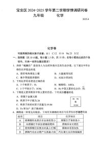 2025年深圳市宝安区初三中考二模化学试卷含答案