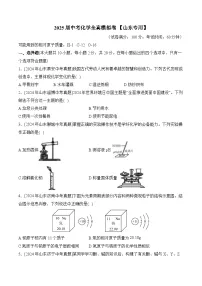2025届中考化学临考模拟卷 【山东专用】