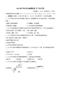 2025届中考化学临考模拟卷 【广西专用】