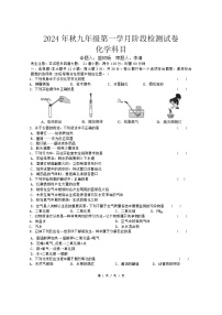 湖南省长沙市中雅培粹学校2024-2025学年九年级上学期第一次月考化学试卷