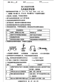 2025年陕西省西安市工业大学附属中学中考八模化学试题（中考模拟）