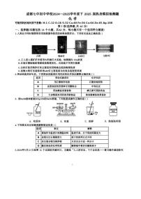2025年四川省成都市第七中学初中学校模拟预测化学试题（中考模拟）