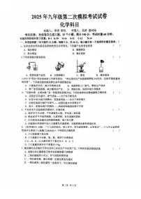 2025年湖南省长沙市中雅培粹学校中考二模化学试卷