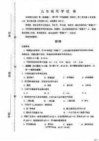2025年天津市河西区九年级二模化学试题