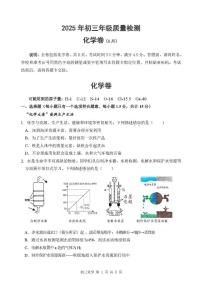2025年广东省深圳市福田区高级体系联考中考三模化学试卷（中考模拟）