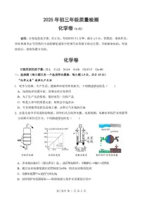 2025年广东省深圳市福田区高级体系联考中考三模化学试卷（中考模拟）