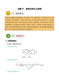 2025年中考化学专项复习专题05 物质的转化与推断-2024年中考化学答题技巧与模板构建练习（解析版）