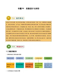 2025年中考化学专项复习专题06 实验设计与评价-2024年中考化学答题技巧与模板构建练习（原件版）