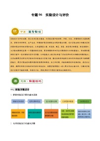 2025年中考化学专项复习专题06 实验设计与评价-2024年中考化学答题技巧与模板构建练习（解析版）