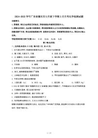 2024_2025学年 广东肇庆九年级第二学期3月月考化学试卷[有答案]