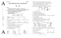 2025年陕西省初中化学学业水平考试模拟试题及答案