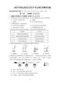 2025湖北武汉江汉区中考五调模拟化学试卷+答案