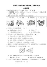 2025年深圳市南山区教科院集团中考二模化学试卷含答案