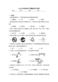 2025年河南省中考模拟化学试卷（无答案）