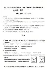 2025年广东省深圳市蛇口教育集团育才三中中考三模化学试卷（中考模拟）
