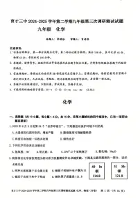 2025年广东省深圳市蛇口教育集团育才三中中考三模化学试卷（中考模拟）