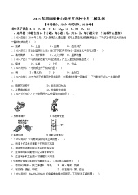 2025年河南省平顶山市鲁山县五所学校中考二模化学试题（中考模拟）