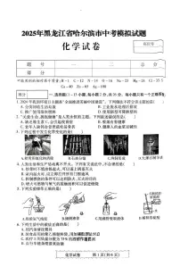 2025年黑龙江省齐齐哈尔市中考模拟化学试题（中考模拟）