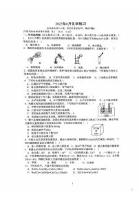 2025年湖南省长沙市雅礼外国语学校中考全真模拟化学试卷（中考模拟）